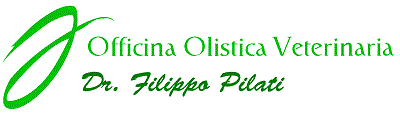 logo-pilati